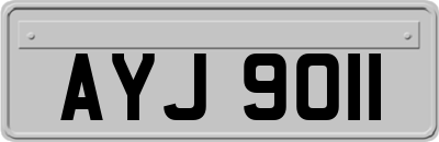 AYJ9011