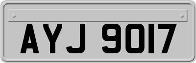 AYJ9017