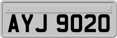 AYJ9020