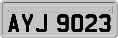 AYJ9023