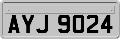 AYJ9024