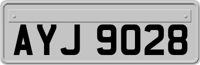 AYJ9028