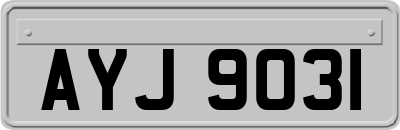 AYJ9031