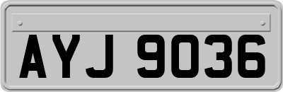 AYJ9036