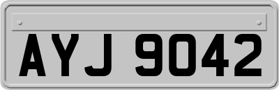 AYJ9042
