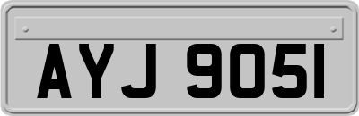 AYJ9051