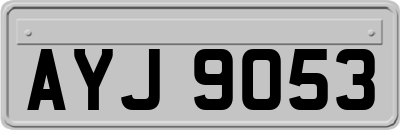AYJ9053
