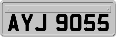 AYJ9055