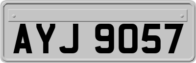 AYJ9057