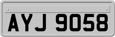 AYJ9058