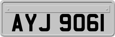 AYJ9061