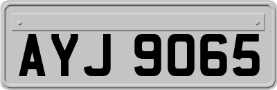 AYJ9065