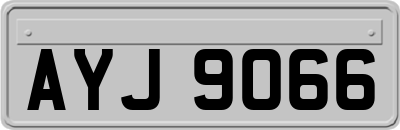 AYJ9066