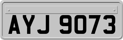 AYJ9073