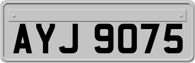 AYJ9075