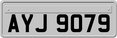 AYJ9079