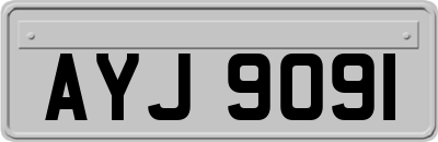 AYJ9091