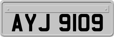 AYJ9109