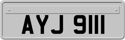 AYJ9111