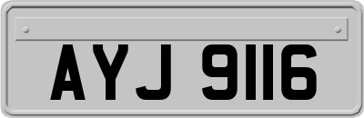 AYJ9116