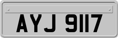 AYJ9117