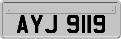 AYJ9119