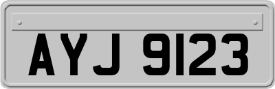 AYJ9123