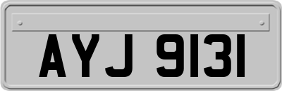 AYJ9131