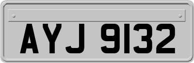 AYJ9132