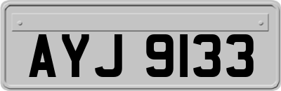 AYJ9133