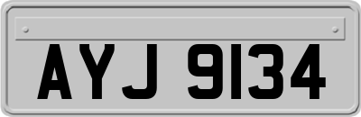 AYJ9134