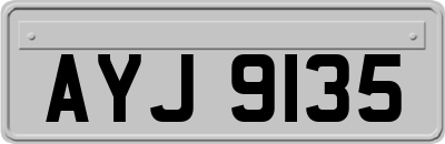 AYJ9135