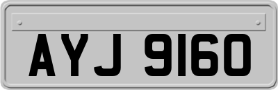 AYJ9160