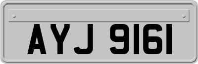 AYJ9161