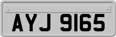 AYJ9165