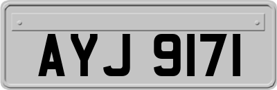 AYJ9171