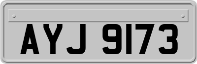 AYJ9173