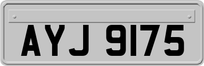 AYJ9175