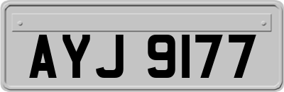 AYJ9177