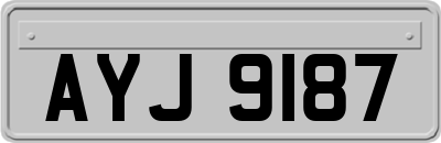 AYJ9187