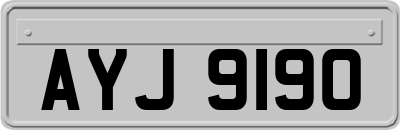AYJ9190