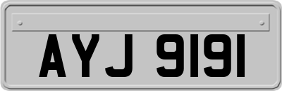 AYJ9191