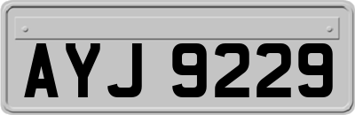 AYJ9229