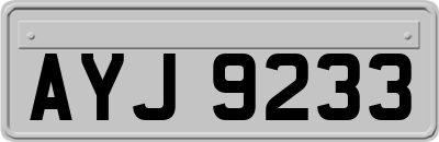 AYJ9233