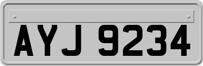 AYJ9234