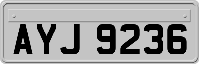 AYJ9236