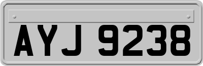 AYJ9238