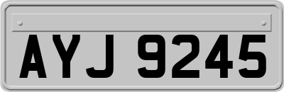 AYJ9245