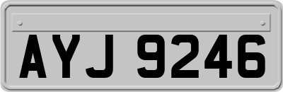 AYJ9246