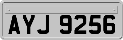 AYJ9256